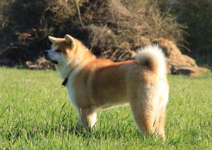 57798740 2598152873546310 1317197926300123136 n