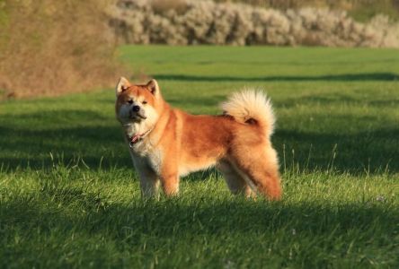 57852479 2597924323569165 3177123888811212800 n