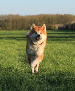 58372879 2598152753546322 8609994180921393152 n