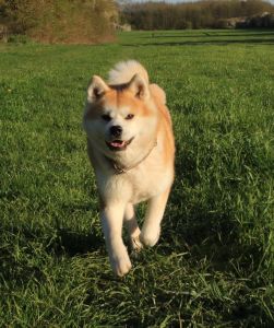 58378414 2598153470212917 5472352101101207552 n