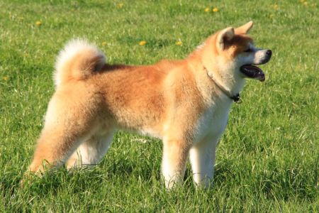 58380078 2598151896879741 4954413503726223360 n