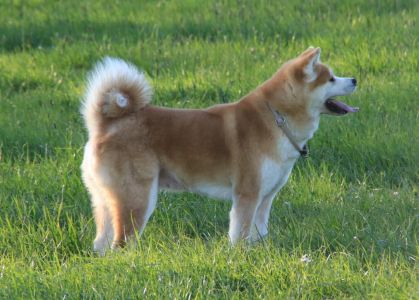 57297734 2598152443546353 5779851031982637056 n