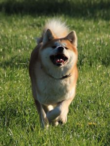 57358116 2598152236879707 1998431141614321664 n