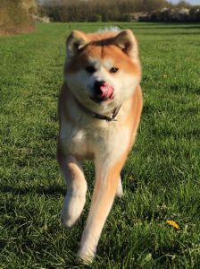 57502839 2598152680212996 5324261637325062144 n