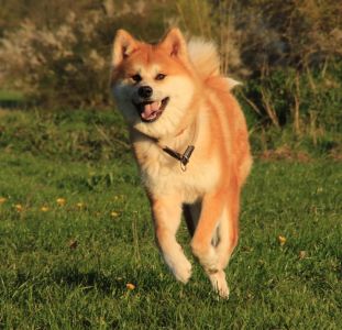 57530929 2598151976879733 5558437414810157056 n