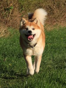 57550640 2598151910213073 4051152959067652096 n