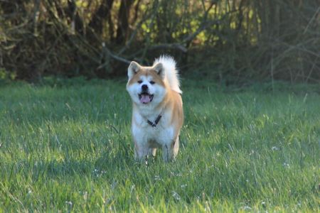 57583202 2598152940212970 8004363896234180608 n