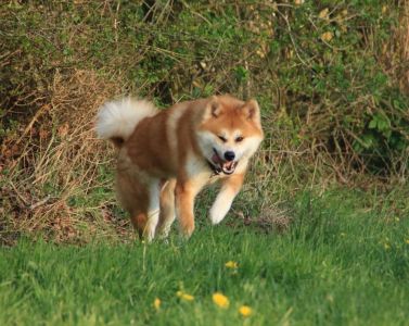 58378961 2598152146879716 3962978848143835136 n