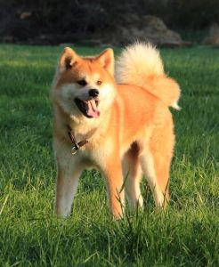 58612974 2598152313546366 2916584356522754048 n