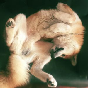 56542926 2574819275879670 7276710223413248000 n