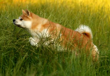 67809446 2767611843267078 2973001384770666496 o