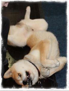 1208931 682901515071465 1268891615 n