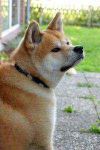 376677 495391260489159 782821559 n