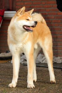 379454 555163851178566 483217260 n