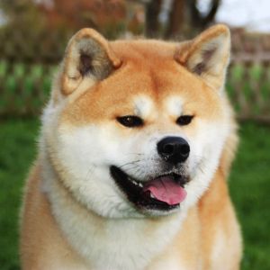 464033 623844940977123 1583201592 o