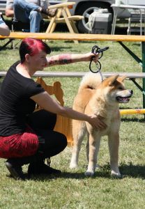 533296 450754921619460 321961052 n