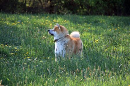 58986734 2612569502104647 20994186689904640 o