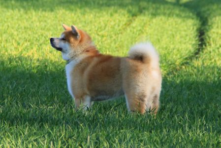 59520521 2612569345437996 3780113743568961536 o