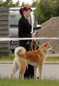 603046 636769843017966 1163013035 n