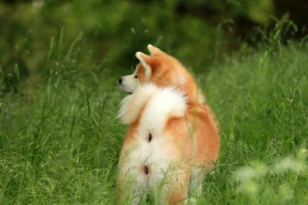 61797332 2672847356076861 7727636383098994688 n