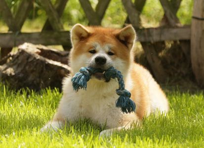 62057636 2686030831425180 5627849605346492416 o