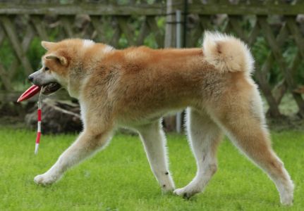 62243560 2686030644758532 5554843356112093184 o