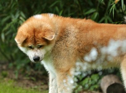 62429856 2686031191425144 1766096917256732672 o