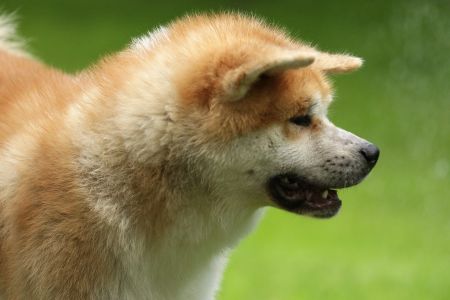 64232711 2686031404758456 176245262891614208 o