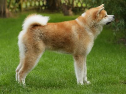 64285048 2700045850023678 1307733368862932992 o