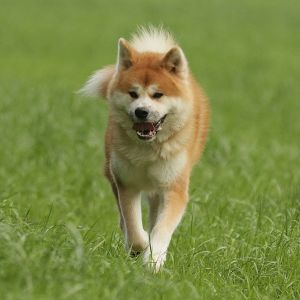 64483962 2699433113418285 4124636684111314944 o