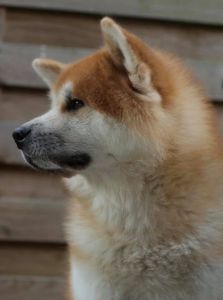 64782317 2712376252123971 4243127002082574336 n