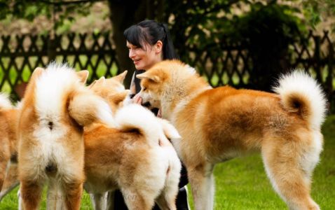 64881569 2702849803076616 545853702955597824 n