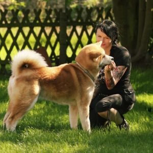 65307379 2712124942149102 2903988583243186176 o