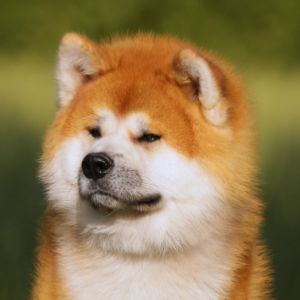 66282680 2742508942444035 2703880576544276480 o