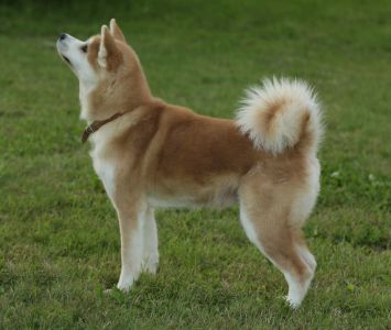 67067545 2767611743267088 6321443246912307200 o