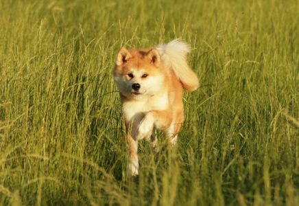 67089362 2767636833264579 445031136683360256 o