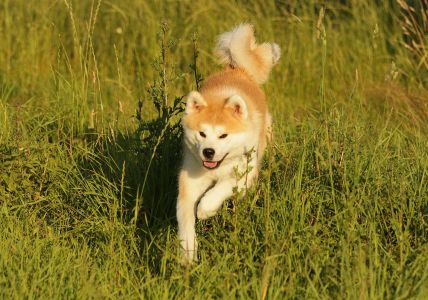 67129671 2767611643267098 201561445106712576 o