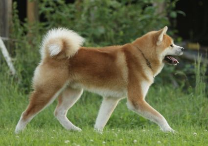 67141508 2767611489933780 6987148300025593856 o