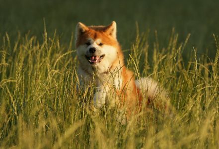 67199331 2767611446600451 8558289006675099648 o