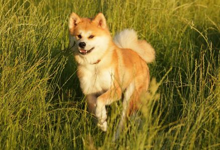 67304603 2767611796600416 1890476472909430784 o