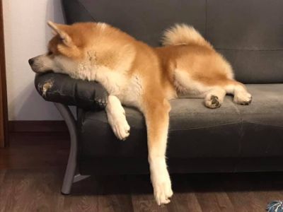 69962079 2846049908756604 594063173254905856 n