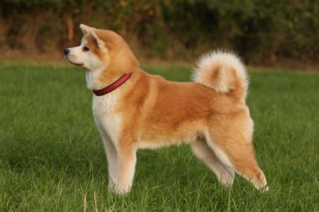 70228468 2884851151543146 5266890082660384768 n