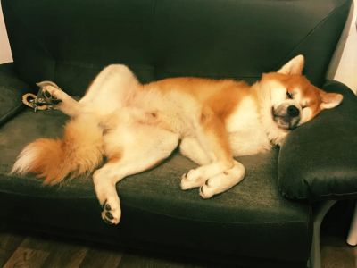 70645407 2871020649592863 8378042294552494080 n