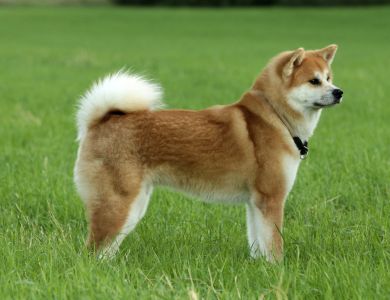 70707278 2881034608591467 5394049341147054080 o