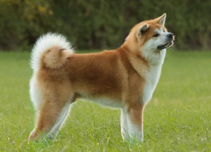 70839872 2881036981924563 5231526971212562432 o