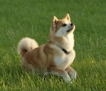 71049035 2881034625258132 5559766552569446400 o