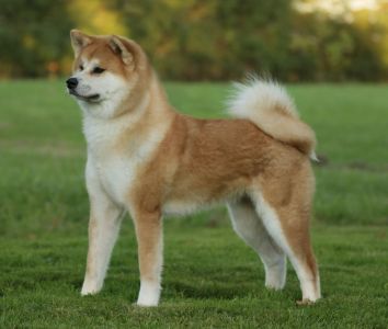 71168946 2881034595258135 3433303608387436544 o