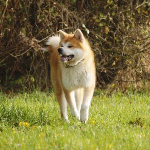 74968749 3003836682977925 6652257528019156992 n