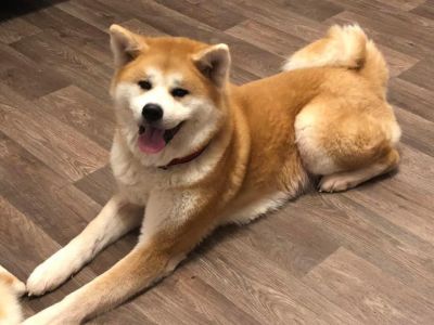 76702463 2957981417563452 8182186030598717440 n