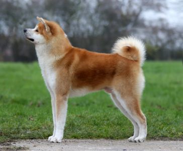 77056026 3020712857956974 7005691181375946752 n